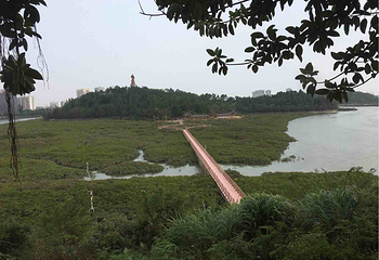 仙岛公园第 7 张图片