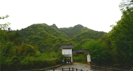 太和梅花谷第 11 张图片
