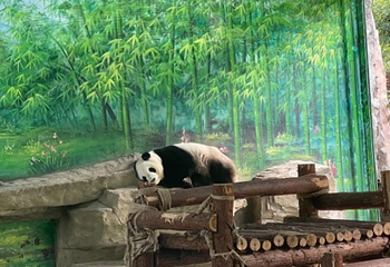 灵玲国际马戏城第 135 张图片
