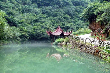 水竹湾森林公园第 8 张图片