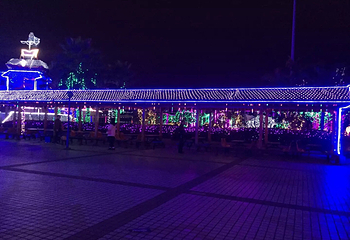 江心西园第 9 张图片