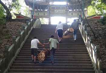 太保公园第 16 张图片