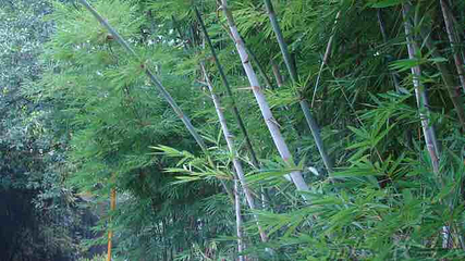 天际岭第 8 张图片