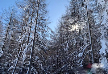神农架中和国际滑雪场第 30 张图片