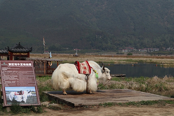 北海湿地第 53 张图片