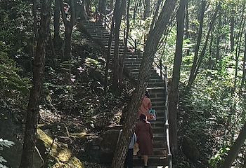 内乡宝天曼生态文化旅游区第 30 张图片