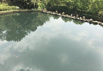 苏州旺山九龙潭风景区第 16 张图片