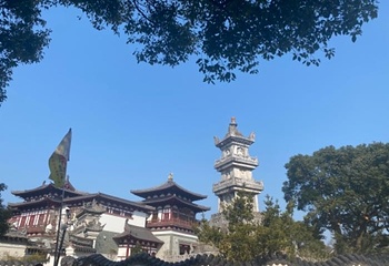 舟山市普陀山风景区-紫竹林第 13 张图片