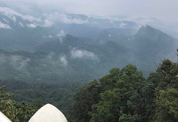 成都小酒馆第 12 张图片