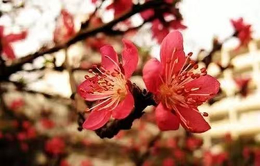 泉城公园第 11 张图片