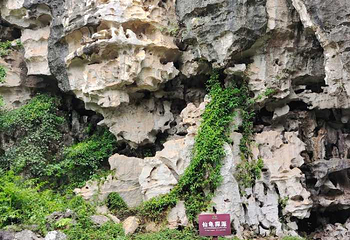 石景林景区第 9 张图片