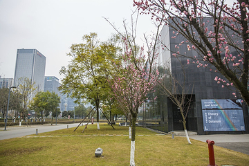 成都当代美术馆第 27 张图片