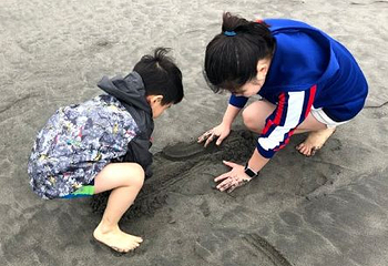 大安滨海乐园第 2 张图片