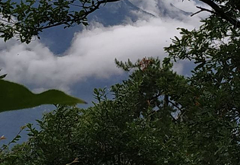 终南山南五台景区第 158 张图片
