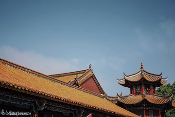 翠湖公园第 53 张图片