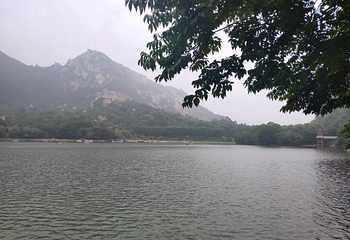 翠华山·秦岭终南山世界地质公园第 115 张图片
