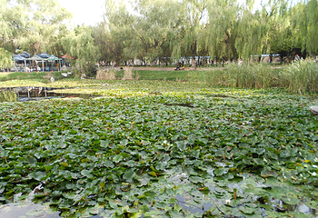 小西湖公园第 21 张图片