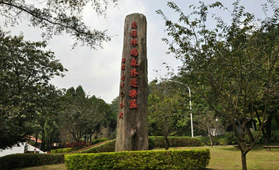惠荪林场第 2 张图片