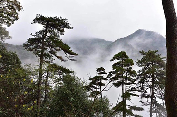 东天目山景区第 29 张图片