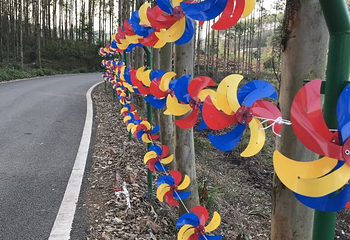 南宁花雨湖生态休闲旅游区第 13 张图片