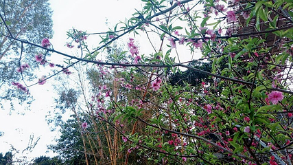 清泉古寺第 9 张图片