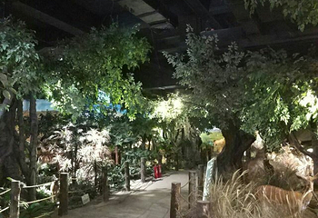 青岛滨海学院世界动物自然生态博物馆第 18 张图片