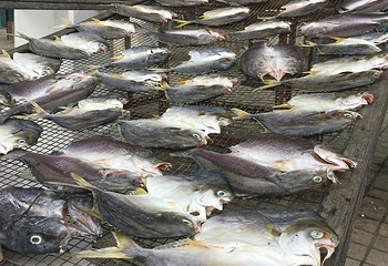 流浮山第 8 张图片