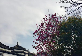 西湖天地第 14 张图片