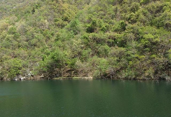 云露山景区第 6 张图片