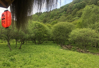 大水川第 18 张图片