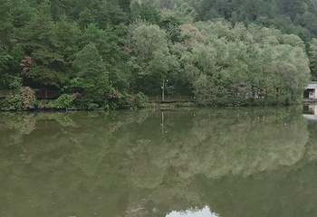 麦积山风景名胜区第 73 张图片