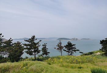 万鸟岛景区第 15 张图片