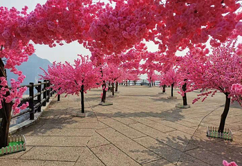 兴隆山景区第 42 张图片