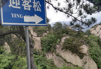 兴隆六里坪国家森林公园第 54 张图片