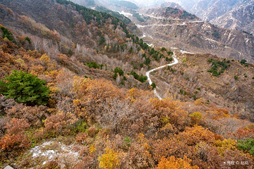 白石山世界地质公园第 195 张图片