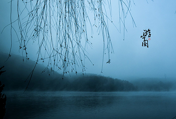 中华龙乐园第 48 张图片