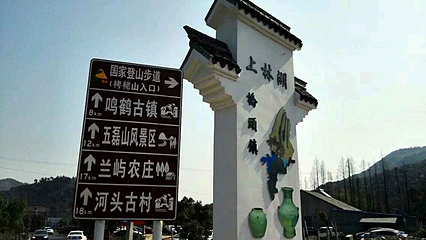 越窑遗址第 4 张图片