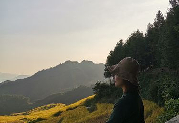 欧家梯田第 86 张图片