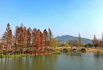 玄武湖景区-情侣园第 9 张图片