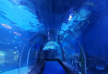 海之语海洋世界第 73 张图片