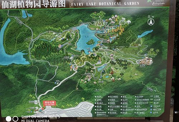 仙湖植物园第 33 张图片
