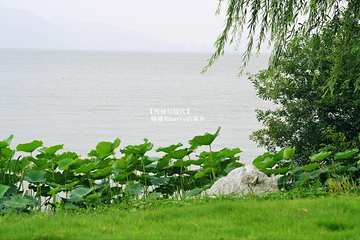 东钱湖第 67 张图片