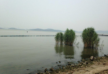 丁蜀太湖绿道骑行第 9 张图片