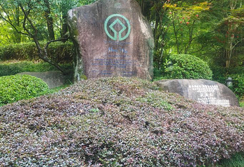 武夷山九曲溪第 53 张图片