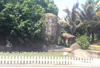 中山公园第 47 张图片