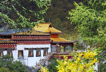 冲古寺第 5 张图片