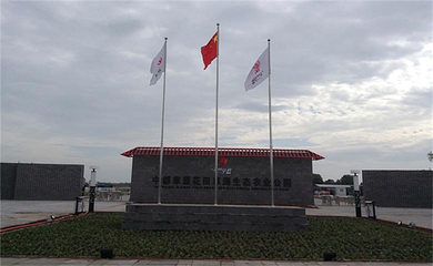 中都草原花田草海生态农业公园第 19 张图片