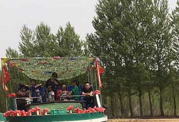 恩格贝生态旅游区第 28 张图片