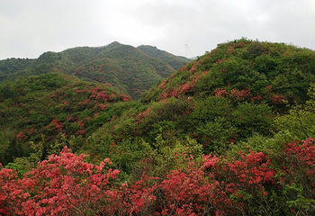 天堂山第 3 张图片