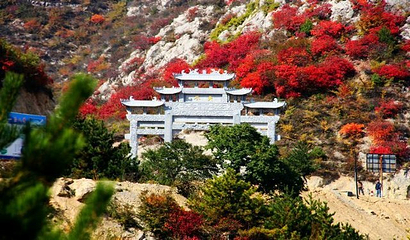 南山不老谷景区第 16 张图片